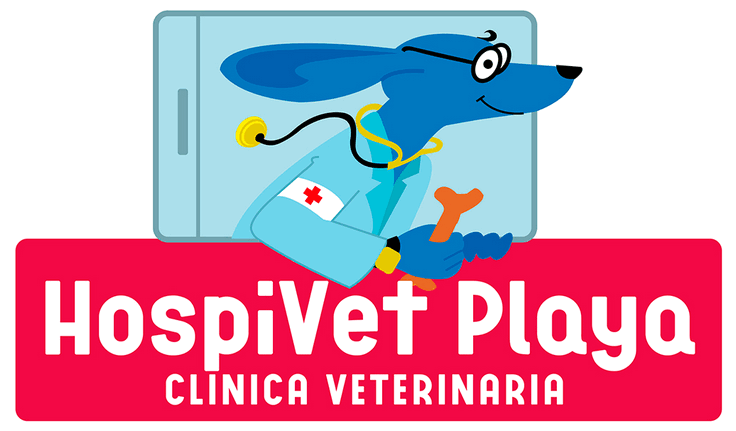 (Imagen de un perro veterinario)